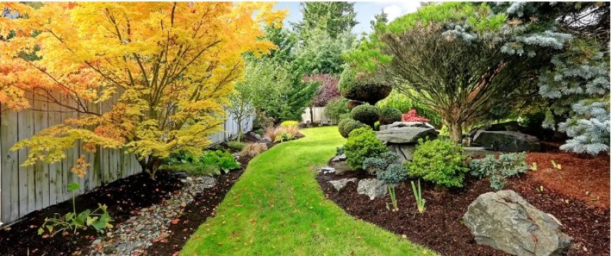 Landscaping in Manassas, VA: Where Function Meets Natural Beauty
