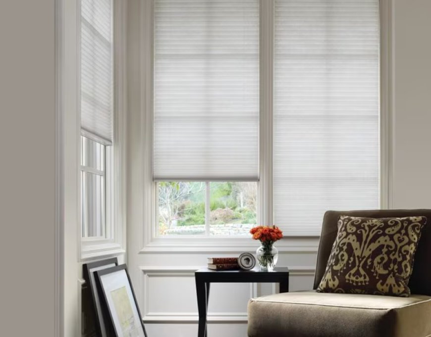 Landlord-Friendly Upgrades: Using Pull Down Blinds and Modern Window Blinds in Orlando Rental Properties