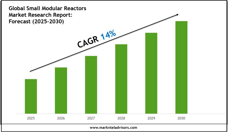 Small Modular Reactors Market Research 2025–2030: Demand Drivers & Projections