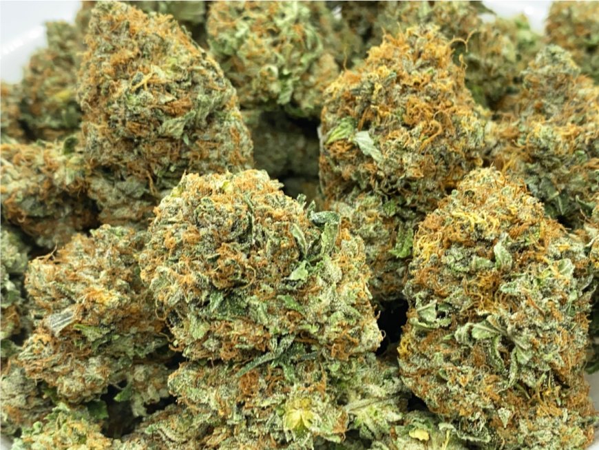 How to Find the Best Deals on Bulk Weed Online