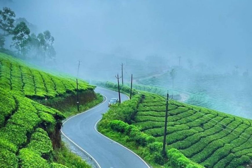 Short, Sweet, Scenic: The Magic of a Munnar Tour Package