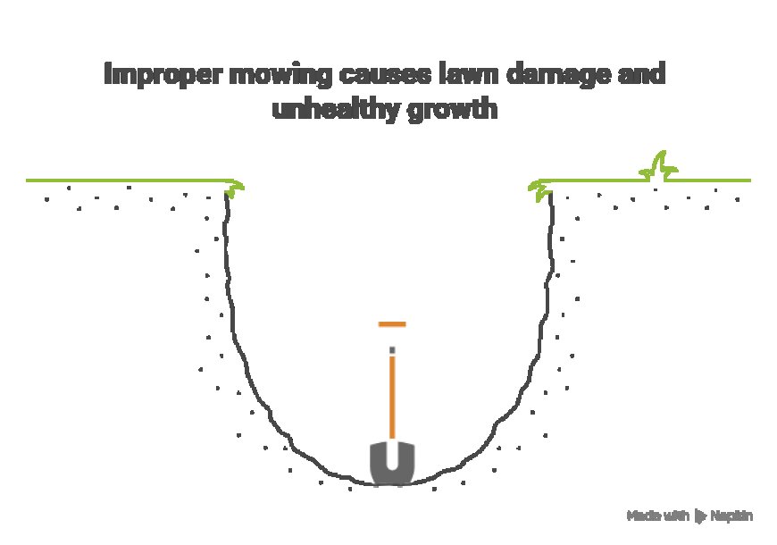 5 Lawn Mowing Mistakes to Avoid This Summer.