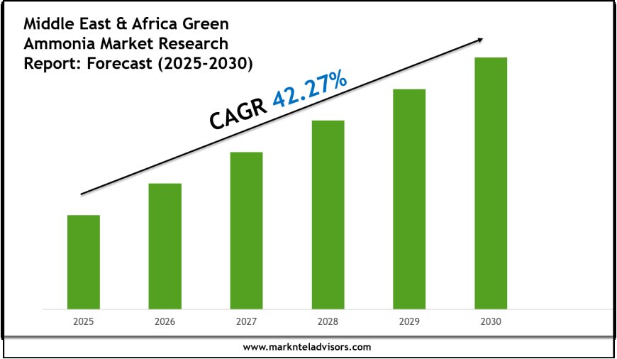 Forecasting the Middle East & Africa Green Ammonia Market: Key Metrics & Industry Overview