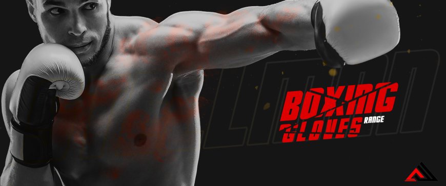 The Evolution of Fighting Sports Gear and the Best Boxing Equipment You Can Buy