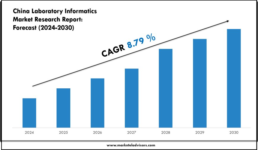 China Laboratory Informatics Market Forecast 2024–2030: Key Players, Trends & Outlook