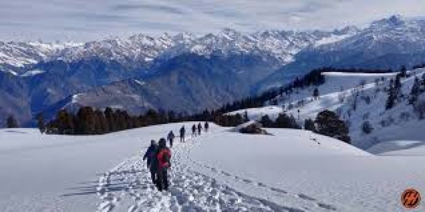 Kedarkantha Trek Guide (2025): Easy, Snowy & Unforgettable