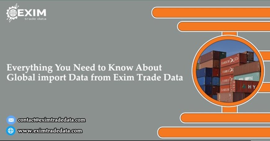 Everything You Need to Know About Global Import Data from Exim Trade Data