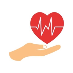 healthcareusa