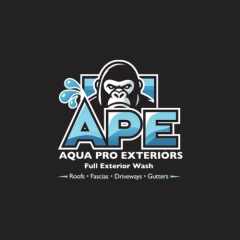 apecleaning