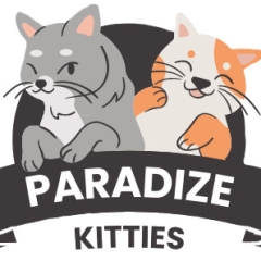 Paradizekitties